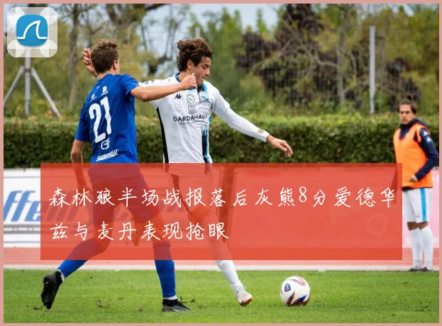 森林狼半场战报落后灰熊8分爱德华兹与麦丹表现抢眼